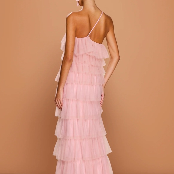 Sonya Moda Ravenna Tulle Maxi Gown Size 6 Pink NWT - Picture 4 of 13